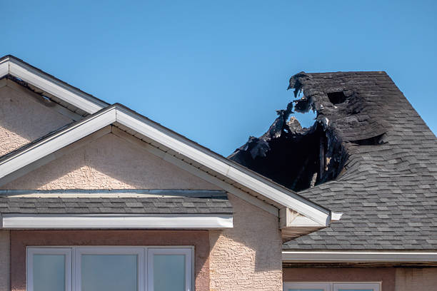 Top rated local Odor Removal specialists in Bryn Athyn, PA